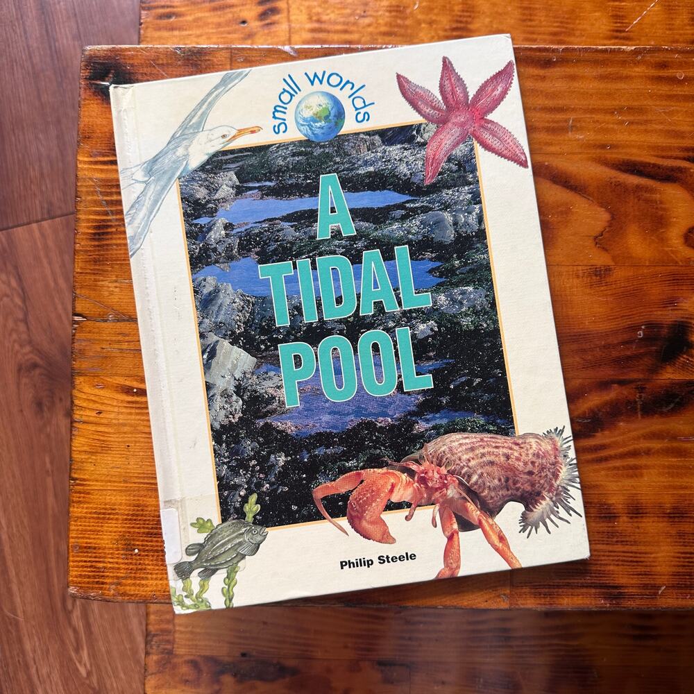 Vintage 1999 Small Worlds: A Tidal Pool Hardcover Book